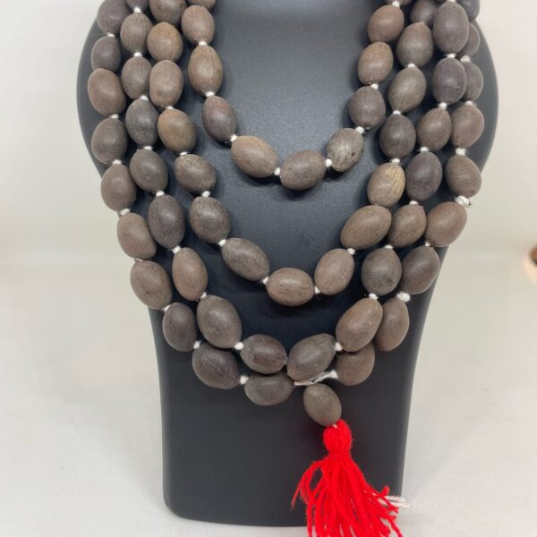 LOTUS MALA (KAMALGATTA MALA)
